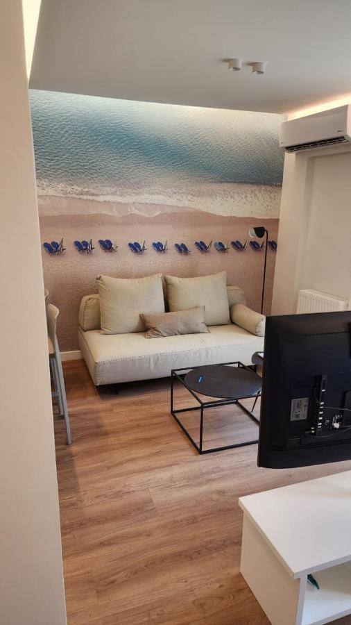 Renovated Apartment With Roof Garden Access, 15 M Walk To Acropolis アテネ エクステリア 写真