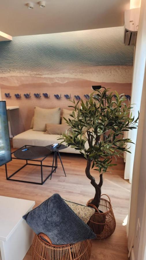 Renovated Apartment With Roof Garden Access, 15 M Walk To Acropolis アテネ エクステリア 写真