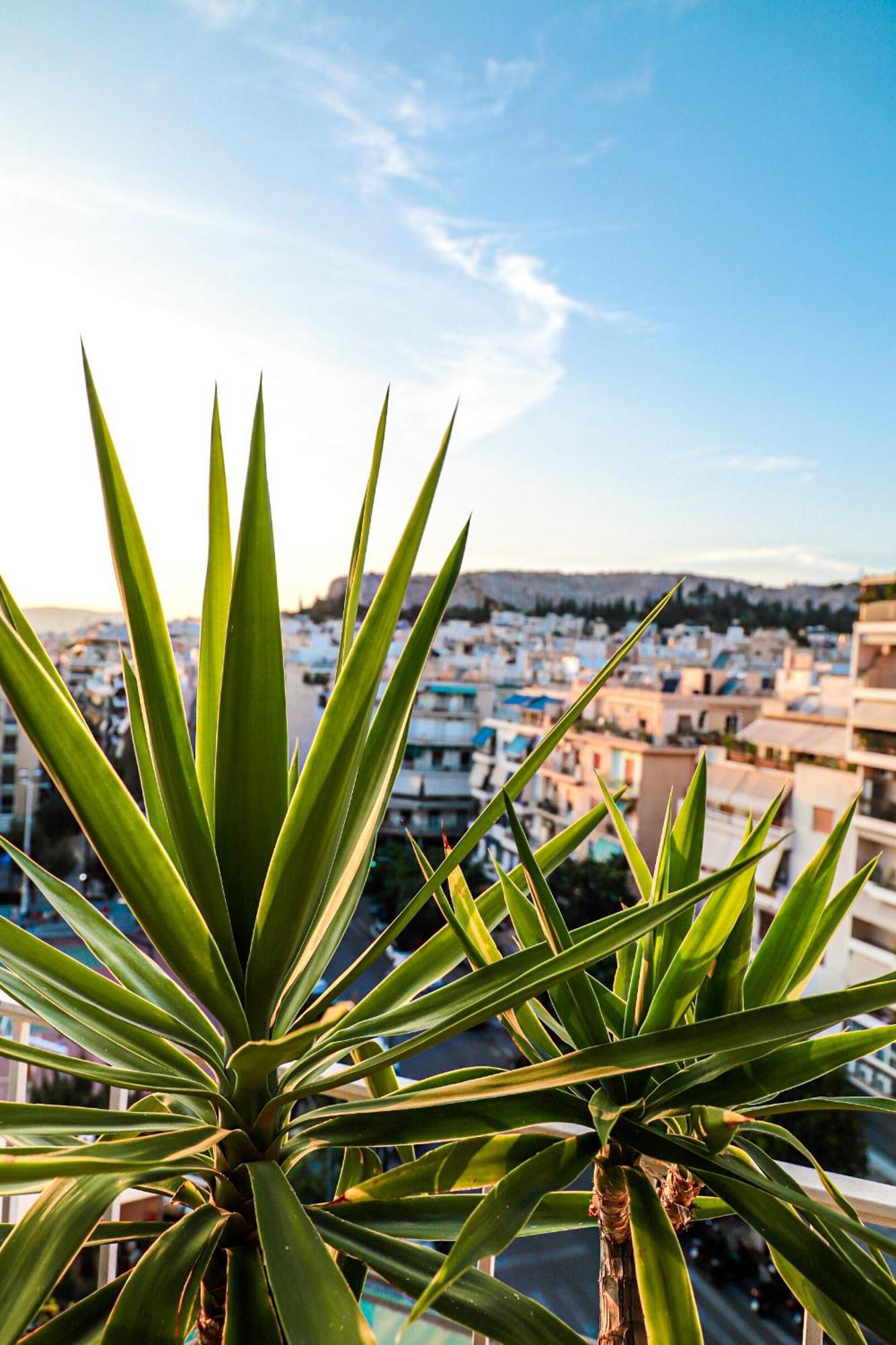 Renovated Apartment With Roof Garden Access, 15 M Walk To Acropolis アテネ エクステリア 写真