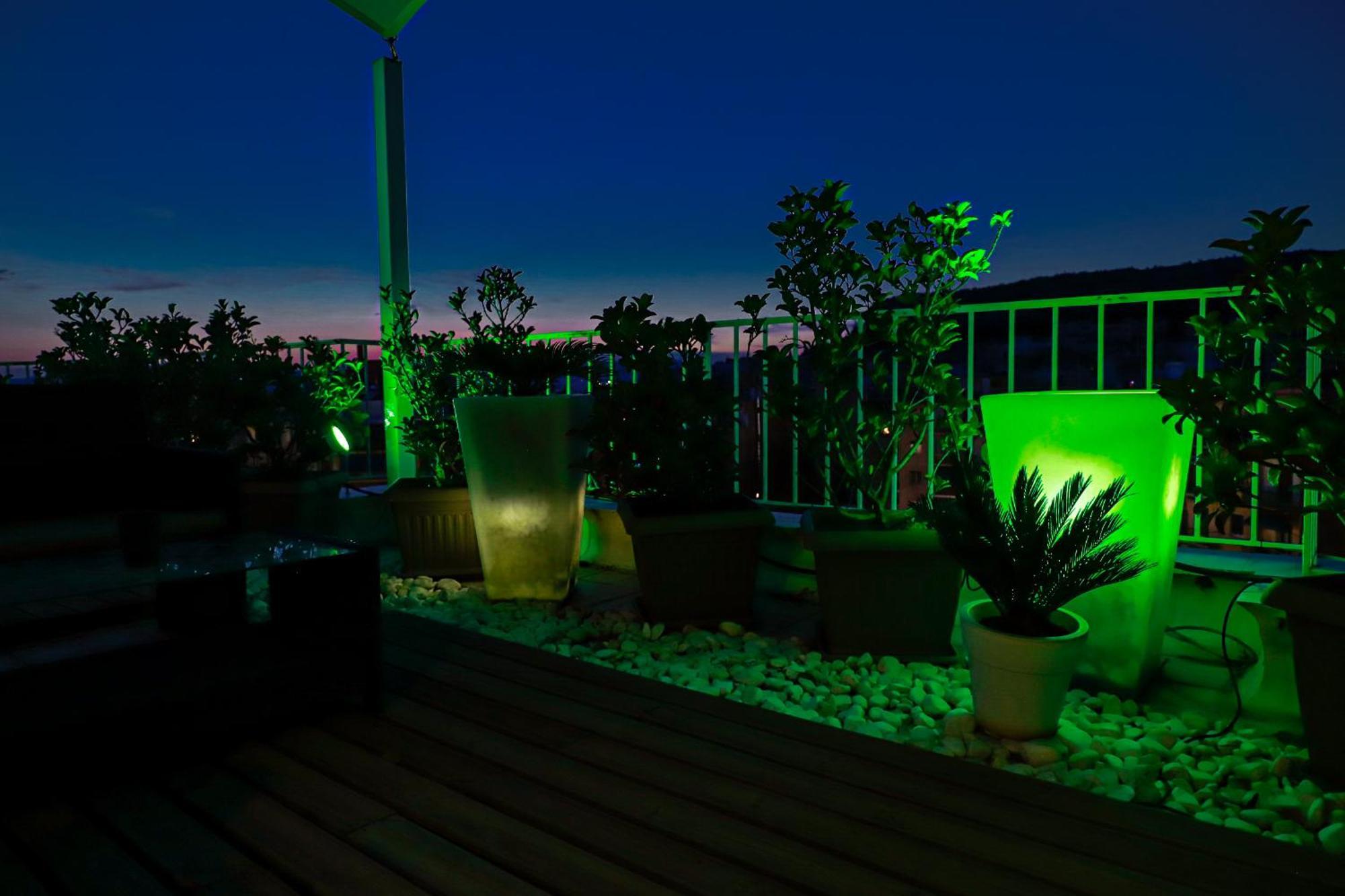 Renovated Apartment With Roof Garden Access, 15 M Walk To Acropolis アテネ エクステリア 写真