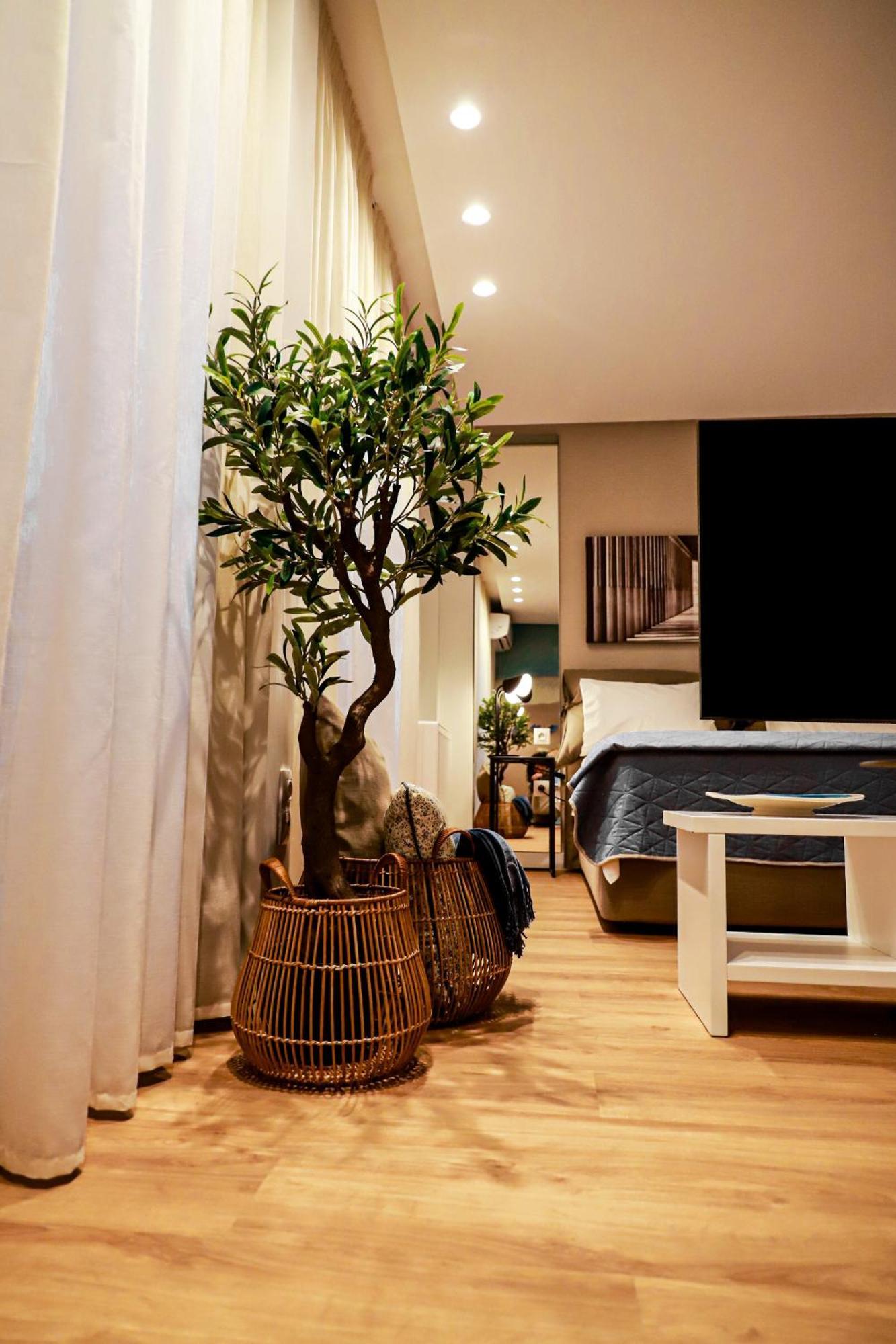 Renovated Apartment With Roof Garden Access, 15 M Walk To Acropolis アテネ エクステリア 写真